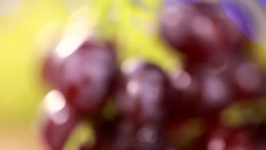 特写葡萄农产品水果宣传视频素材视频的预览图